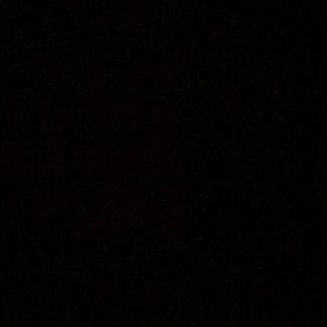 Meet your Posher, Riley